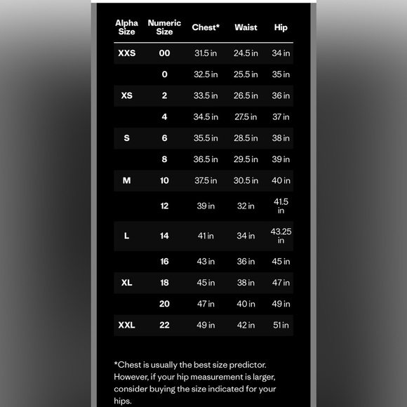 Patagonia Lightweight Synchilla Snap T Fleece Pullover - Picture 9 of 9